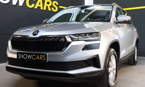 SKODA KAROQ de ocasión en Show Cars