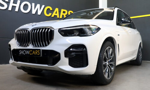 BMW X5 de ocasión en Show Cars
