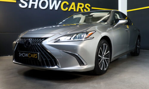 LEXUS ES 2.5 300h Premium de ocasión en Show Cars